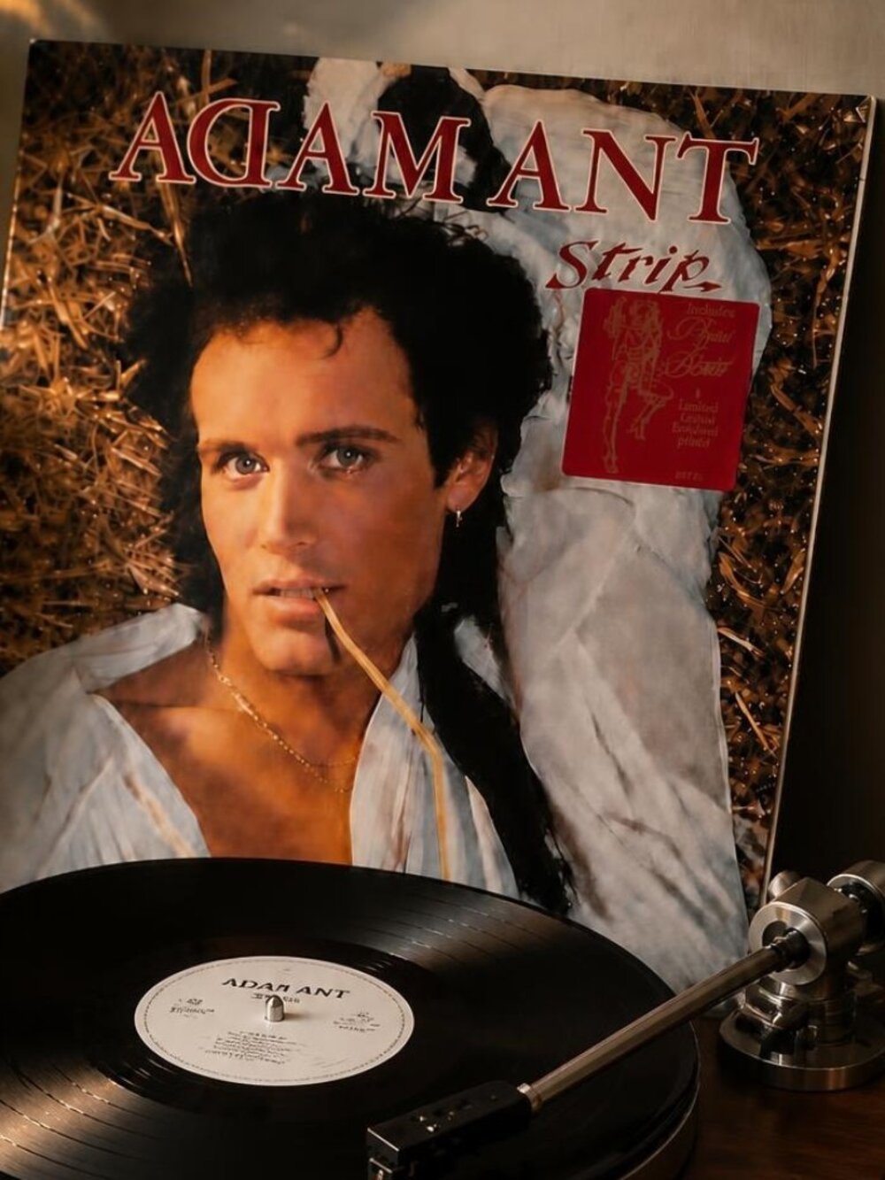 Adam Ant – Strip (LP)